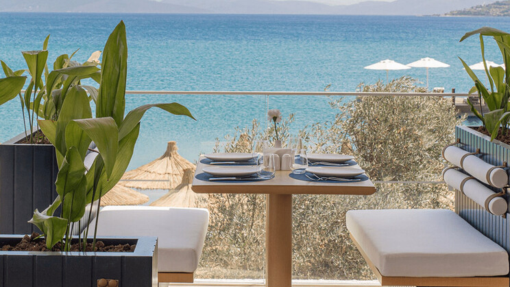 Voyage Torba Private